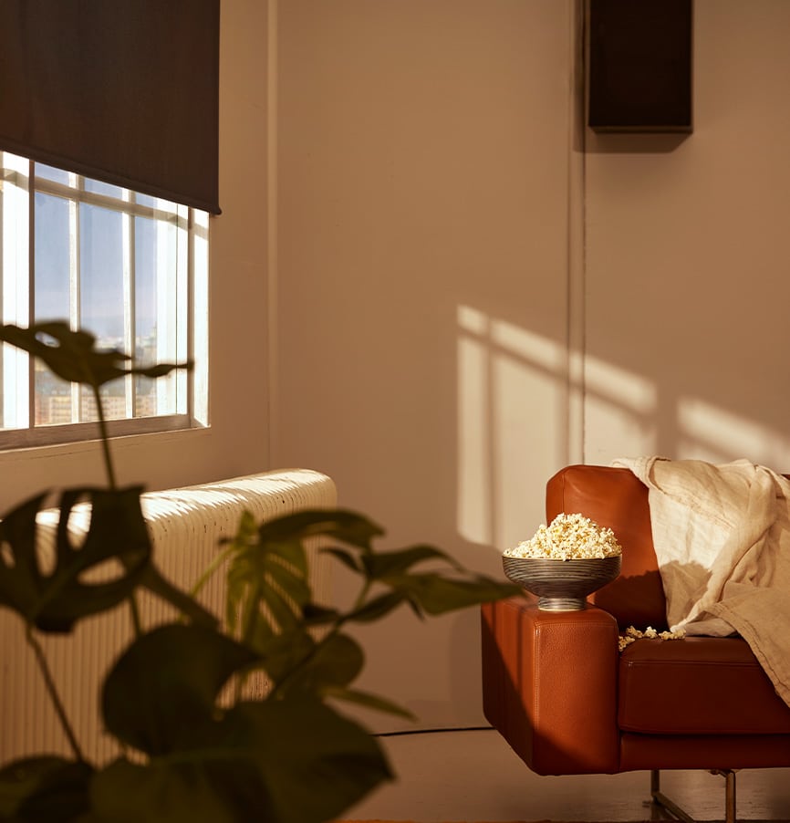 Få ett behagligt inomhusklimat under sommar och vinter med ett invändigt solskydd